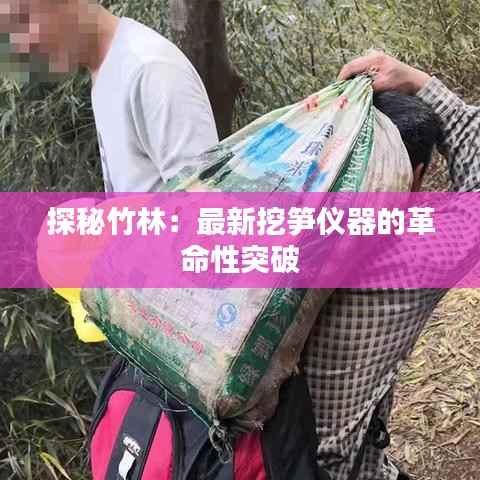 探秘竹林:最新挖笋仪器的革命性突破