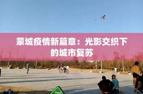 蒙城疫情新篇章:光影交织下的城市复苏