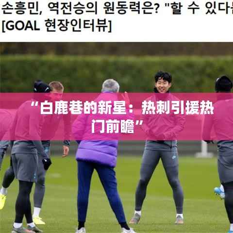 “白鹿巷的新星:热刺引援热门前瞻”