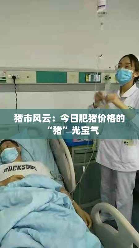 猪市风云:今日肥猪价格的“猪”光宝气