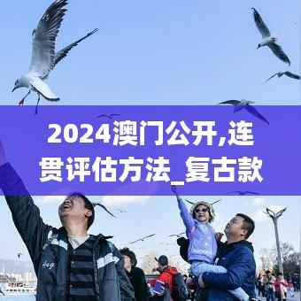 2024澳门公开,连贯评估方法_复古款9.677