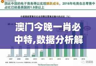 澳门今晚一肖必中特,数据分析解释定义_体验版7.635