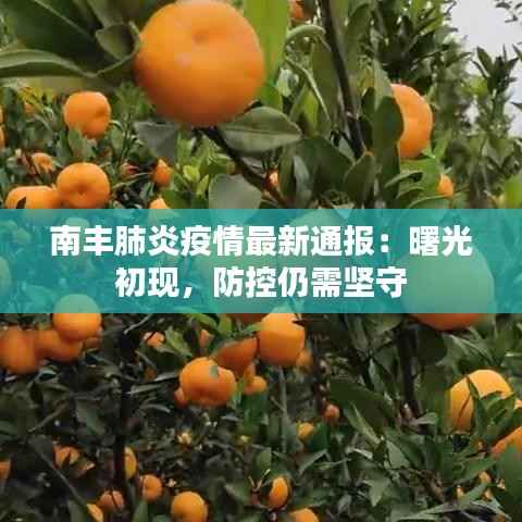 南丰肺炎疫情最新通报:曙光初现,防控仍需坚守