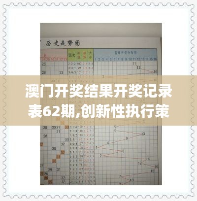 澳门开奖结果开奖记录表62期,创新性执行策略规划_WP19.633