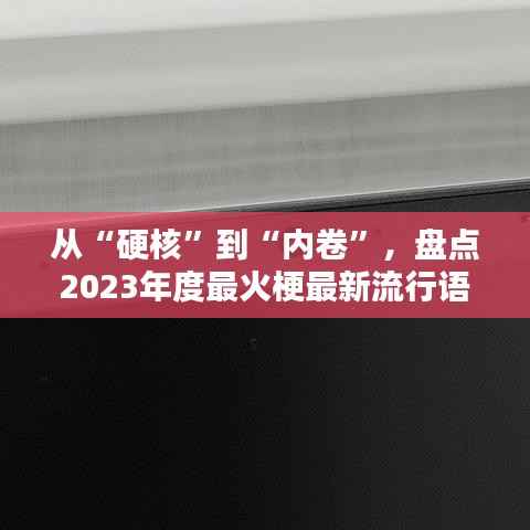 从“硬核”到“内卷”,盘点2023年度最火梗最新流行语