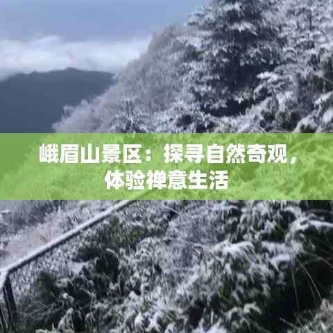 峨眉山景区:探寻自然奇观,体验禅意生活