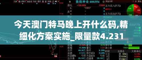 今天澳门特马晚上开什么码,精细化方案实施_限量款4.231