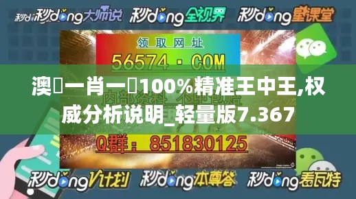 澳門一肖一碼100%精准王中王,权威分析说明_轻量版7.367