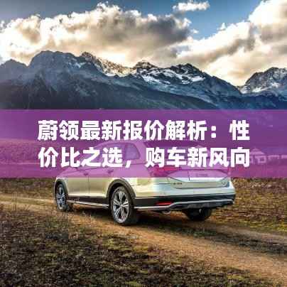 蔚领最新报价解析:性价比之选,购车新风向
