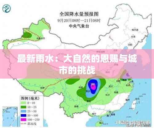 最新雨水:大自然的恩赐与城市的挑战