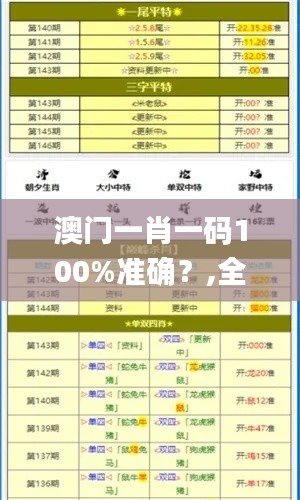澳门一肖一码100%准确?,全面数据策略解析_DX版13.751