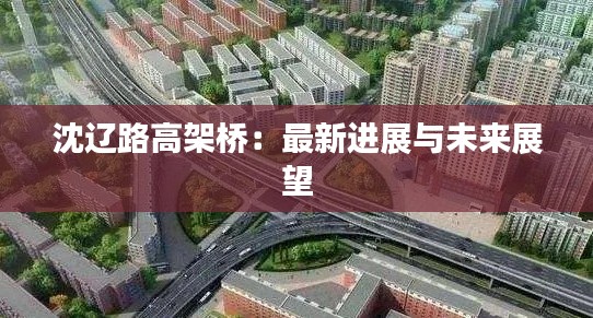 沈辽路高架桥：最新进展与未来展望