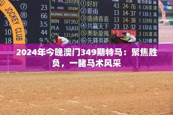 2024年今晚澳门349期特马:聚焦胜负,一睹马术风采