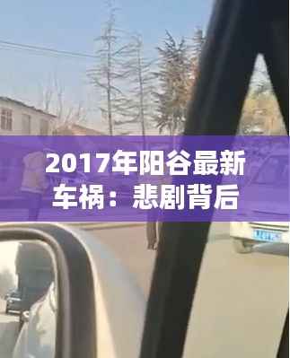 2017年阳谷最新车祸:悲剧背后的警示与反思