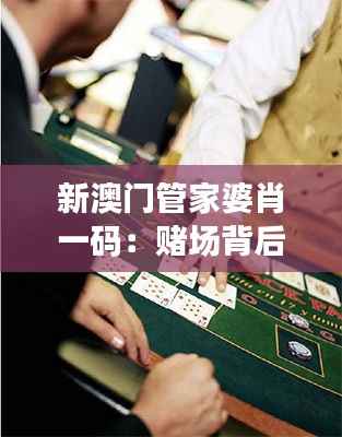 新澳门管家婆肖一码:赌场背后的智慧与谋略