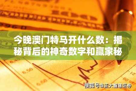 今晚澳门特马开什么数:揭秘背后的神奇数字和赢家秘籍
