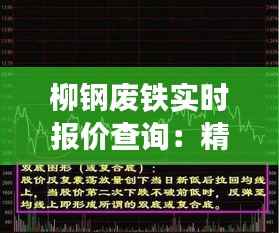 柳钢废铁实时报价查询:精准把握市场脉搏