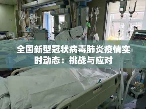 全国新型冠状病毒肺炎疫情实时动态：挑战与应对