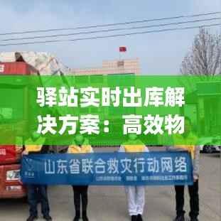 驿站实时出库解决方案:高效物流的智慧钥匙