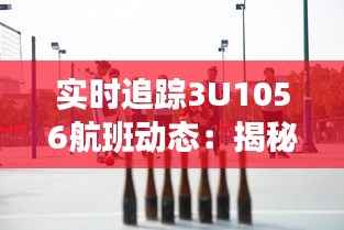 实时追踪3U1056航班动态:揭秘空中旅程的精彩瞬间