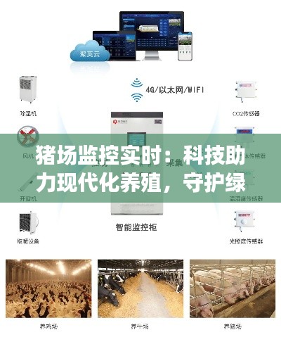 猪场监控实时:科技助力现代化养殖,守护绿色生态养殖梦
