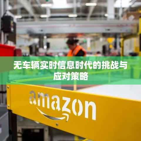 无车辆实时信息时代的挑战与应对策略