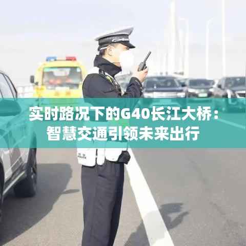 实时路况下的G40长江大桥:智慧交通引领未来出行