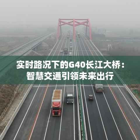 实时路况下的G40长江大桥:智慧交通引领未来出行