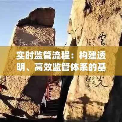 实时监管流程:构建透明、高效监管体系的基石