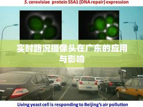 实时路况摄像头在广东的应用与影响