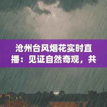 沧州台风烟花实时直播:见证自然奇观,共筑安全防线
