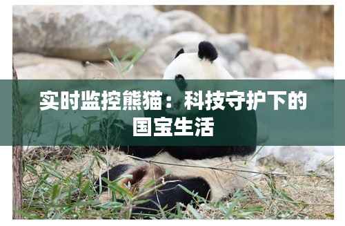 实时监控熊猫:科技守护下的国宝生活