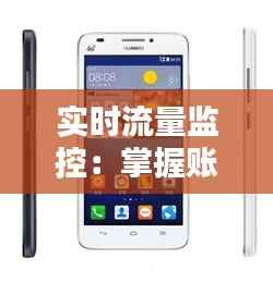 实时流量监控:掌握账号流量动态的五大秘籍