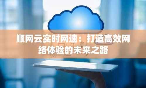 顺网云实时网速:打造高效网络体验的未来之路