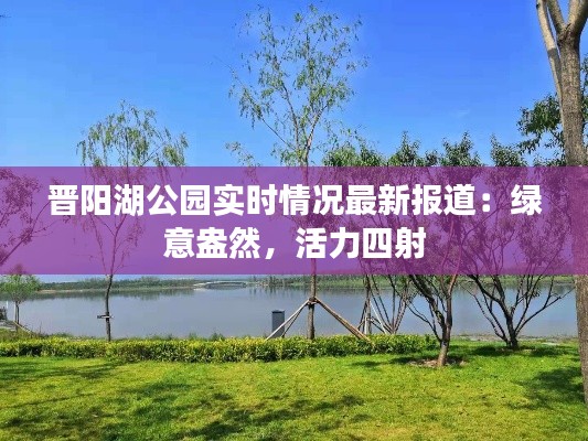 晋阳湖公园实时情况最新报道:绿意盎然,活力四射