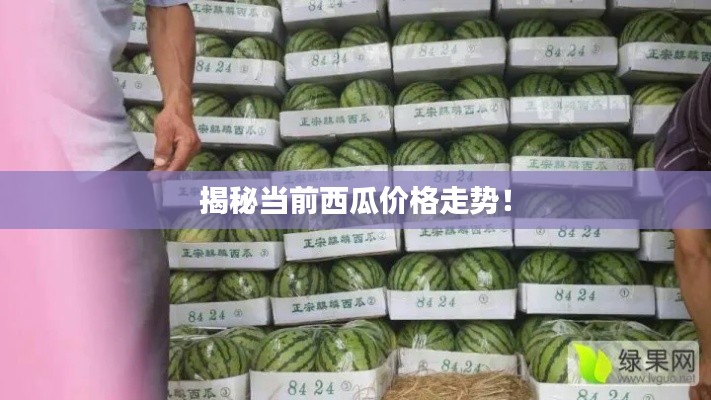 出境旅游 第146页