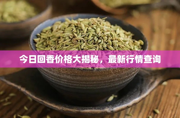 今日回香价格大揭秘，最新行情查询