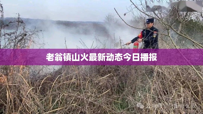 老翁镇山火最新动态今日播报
