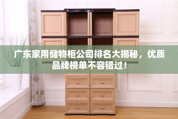 广东家用储物柜公司排名大揭秘,优质品牌榜单不容错过!