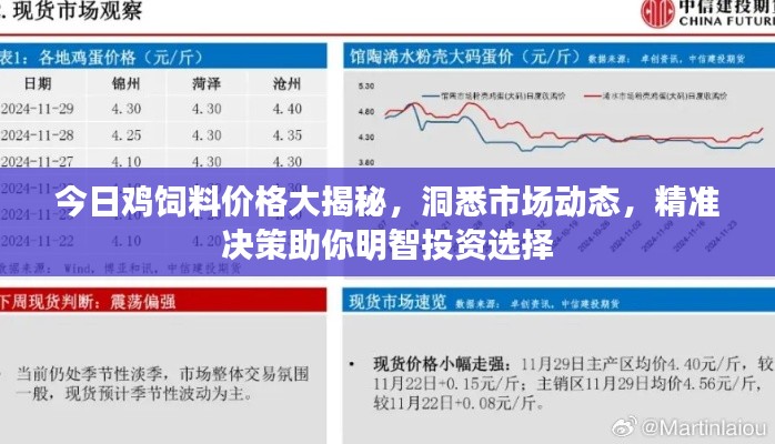 今日鸡饲料价格大揭秘,洞悉市场动态,精准决策助你明智投资选择