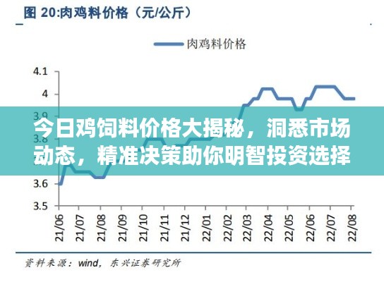 今日鸡饲料价格大揭秘,洞悉市场动态,精准决策助你明智投资选择