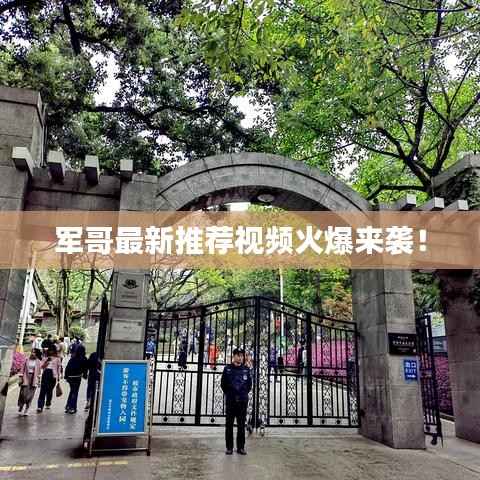 军哥最新推荐视频火爆来袭!