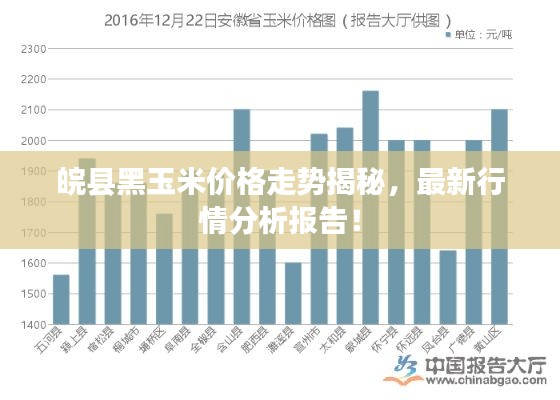 皖县黑玉米价格走势揭秘，最新行情分析报告！