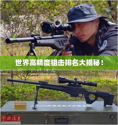 世界高精度狙击排名大揭秘!