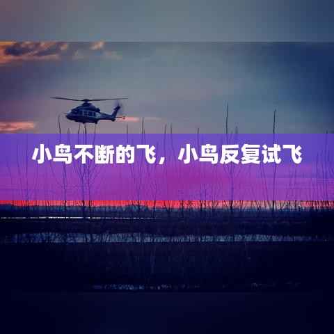 加入我们 第122页