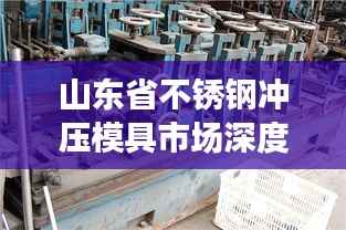 山东省不锈钢冲压模具市场深度解读与行情展望
