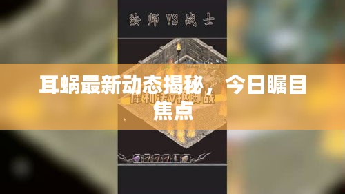 耳蜗最新动态揭秘，今日瞩目焦点