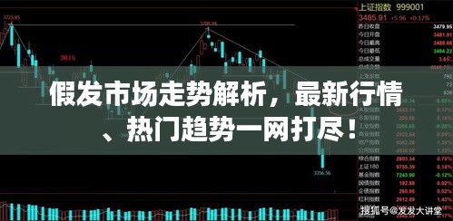 假发市场走势解析，最新行情、热门趋势一网打尽！