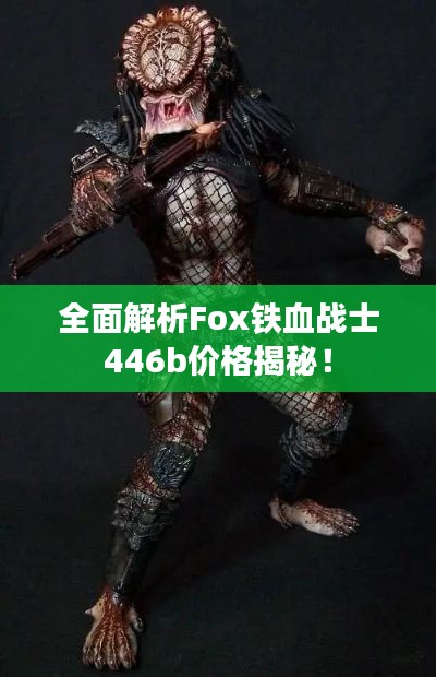 全面解析Fox铁血战士446b价格揭秘！