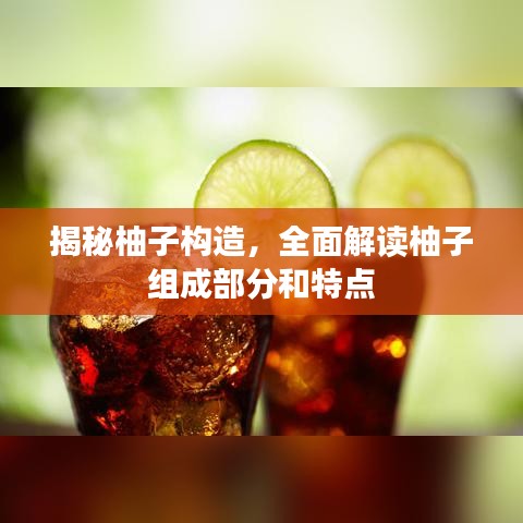 揭秘柚子构造,全面解读柚子组成部分和特点
